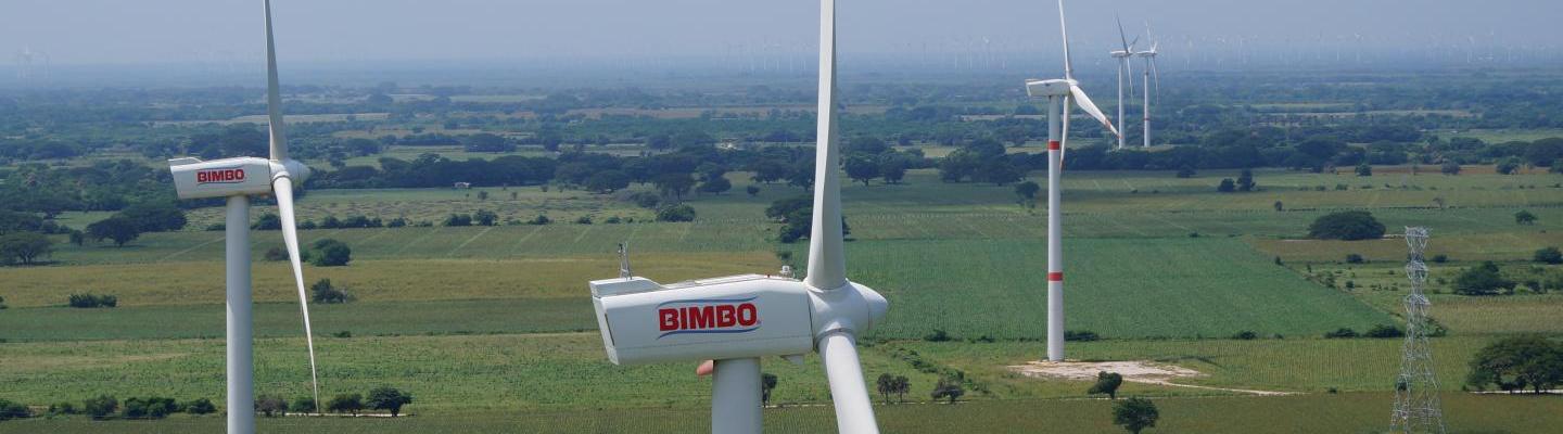 Bimbo windmills